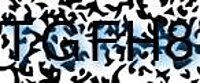 grafischer Sicherheitscode